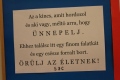 Találd meg a kincset! - Szerzetesi Sziget, 2014. február 9-től – SJC